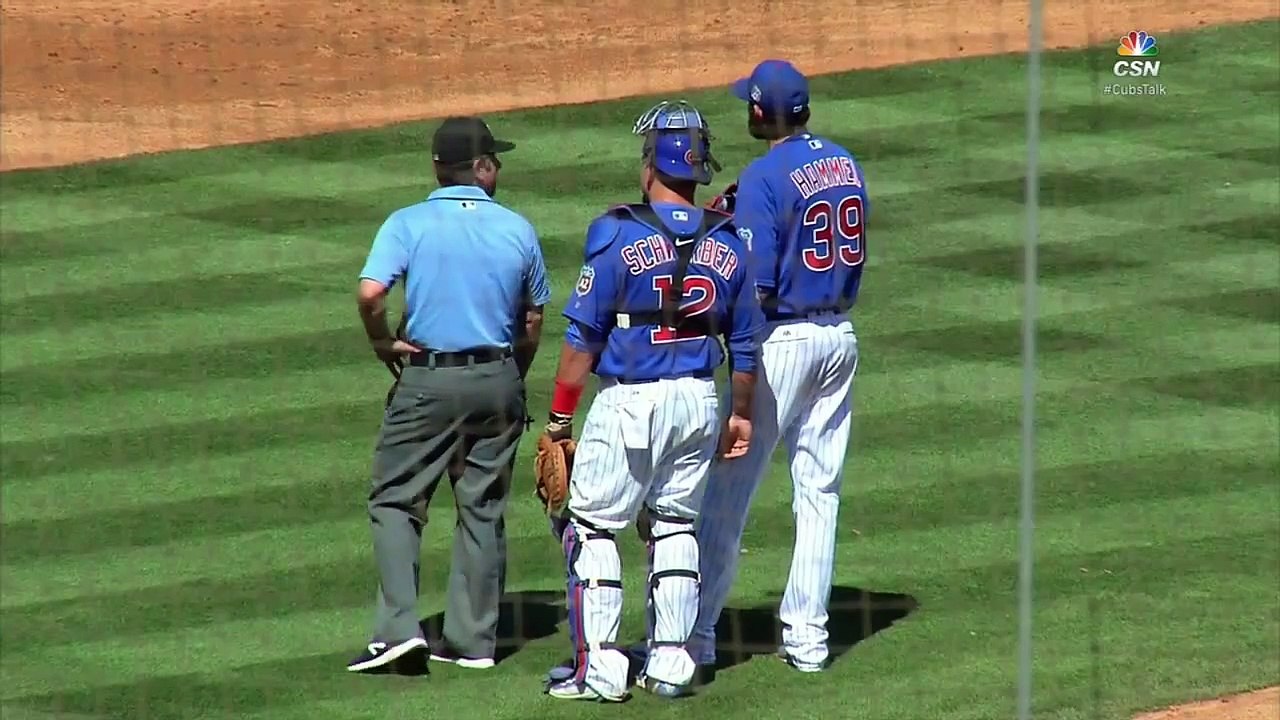 Bees delay Cubs-Mariners game