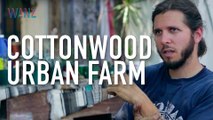 Cottonwood Urban Farm | Nature Calls