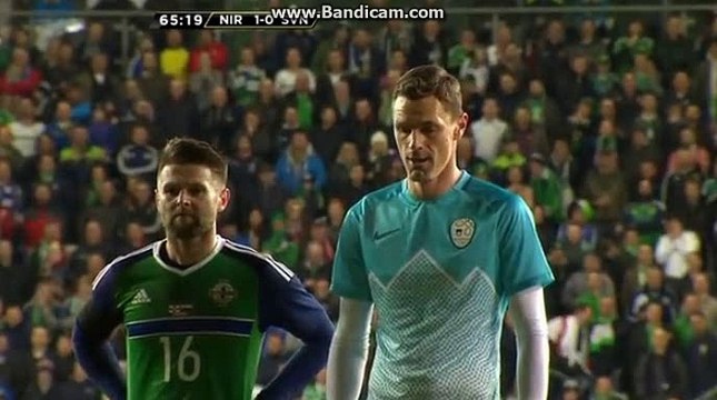 Novakovic Penalty Missed vs Northern Ireland 28.03.2016