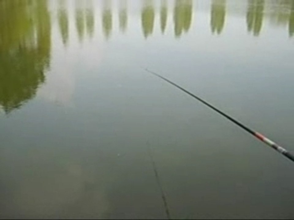 Pêche, pêche, pêche