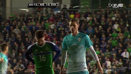 Milivoje Novakovic Missed Penalty - N.Ireland 1-0 Slovenia 2016