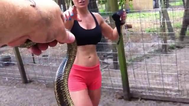 OMG !! Snake Eating Eggs Of Chicken Coop-Top Funny Videos-Top Prank Videos-Top Vines Videos-Viral Video-Funny Fails