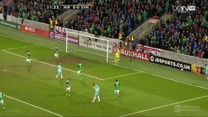 All Goals & Highlights -  N.Ireland 1-0 Slovenia 28.03.2016