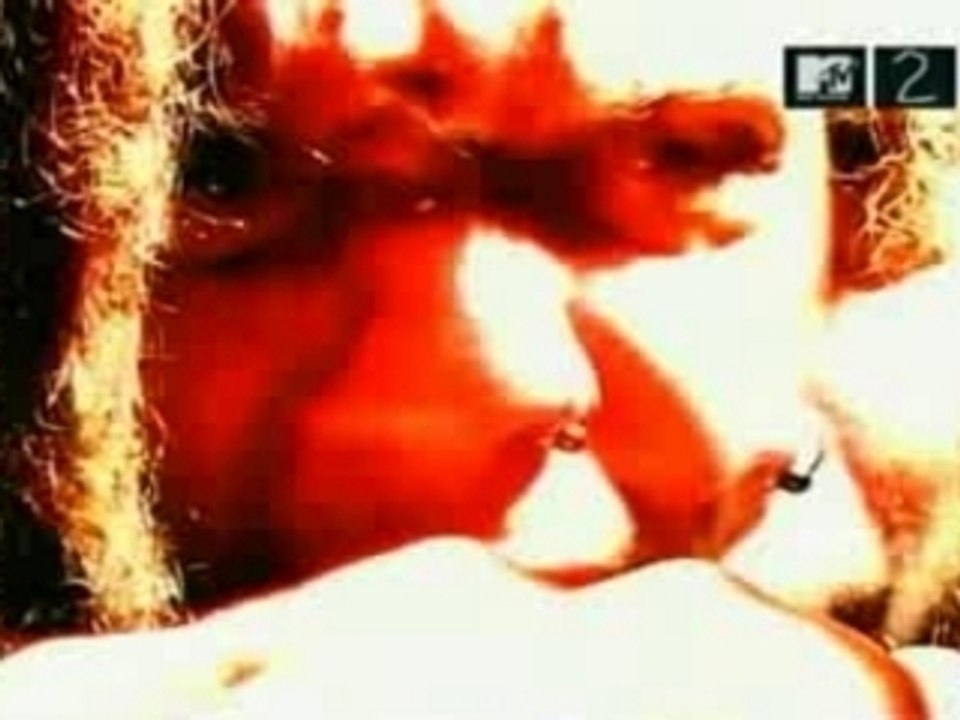 Chimaira - Pure Hatred