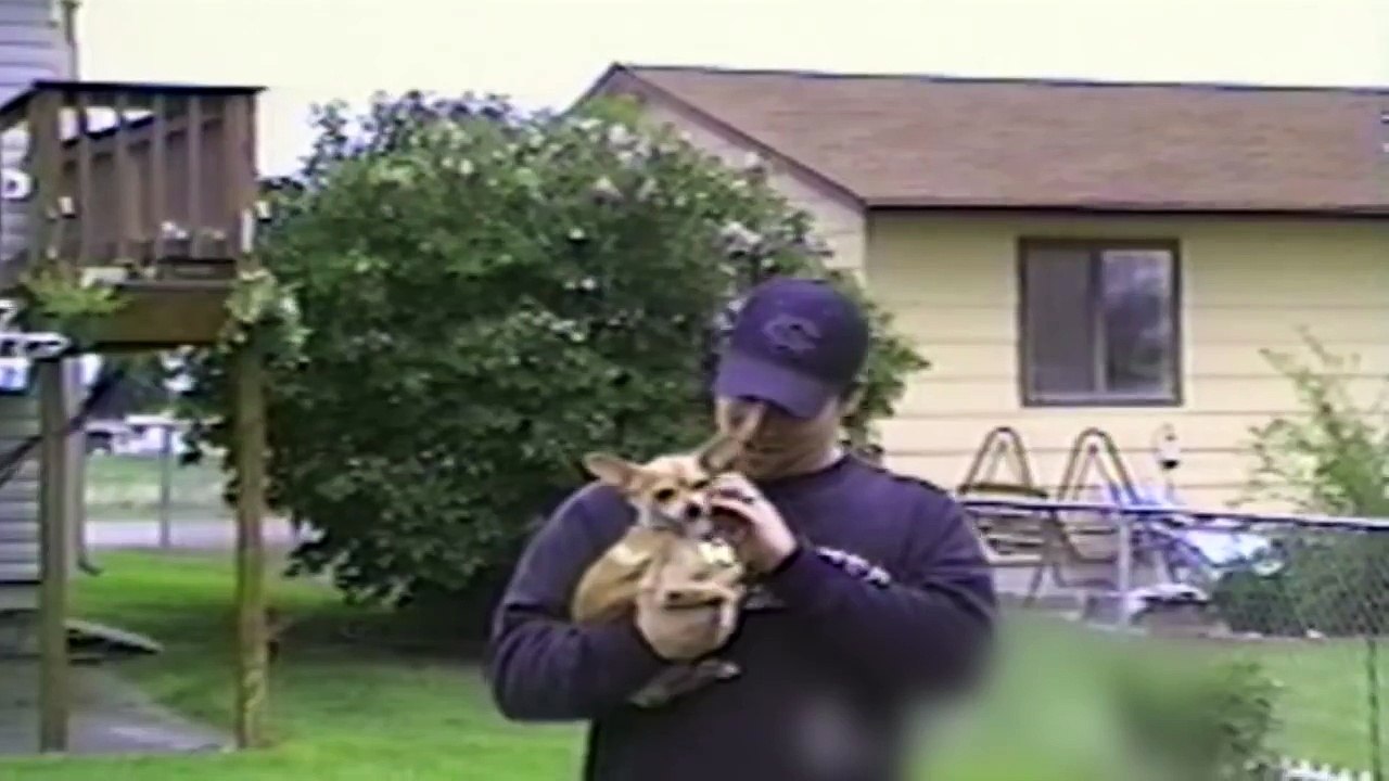 Wind-Up Chihuahua