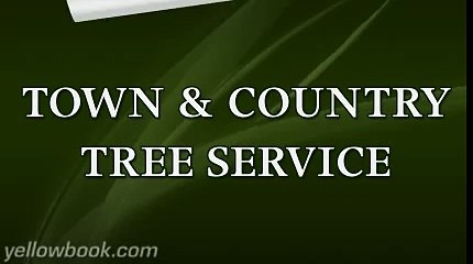 Town & Country Tree Service - Pensacola, FL