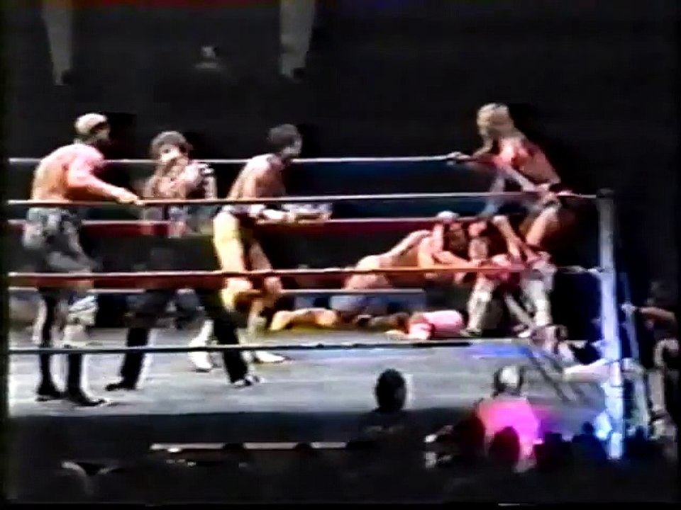 Heenan, Patera, Ventura vs Hogan, Brunzell, Gagne p2