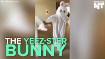 Kanye West And North West Had The Best Easter Of All Time