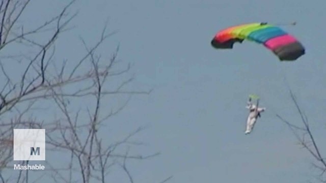 Sorry, kids: Skydiving Easter Bunny doesn't land anywhere near the egg hunt