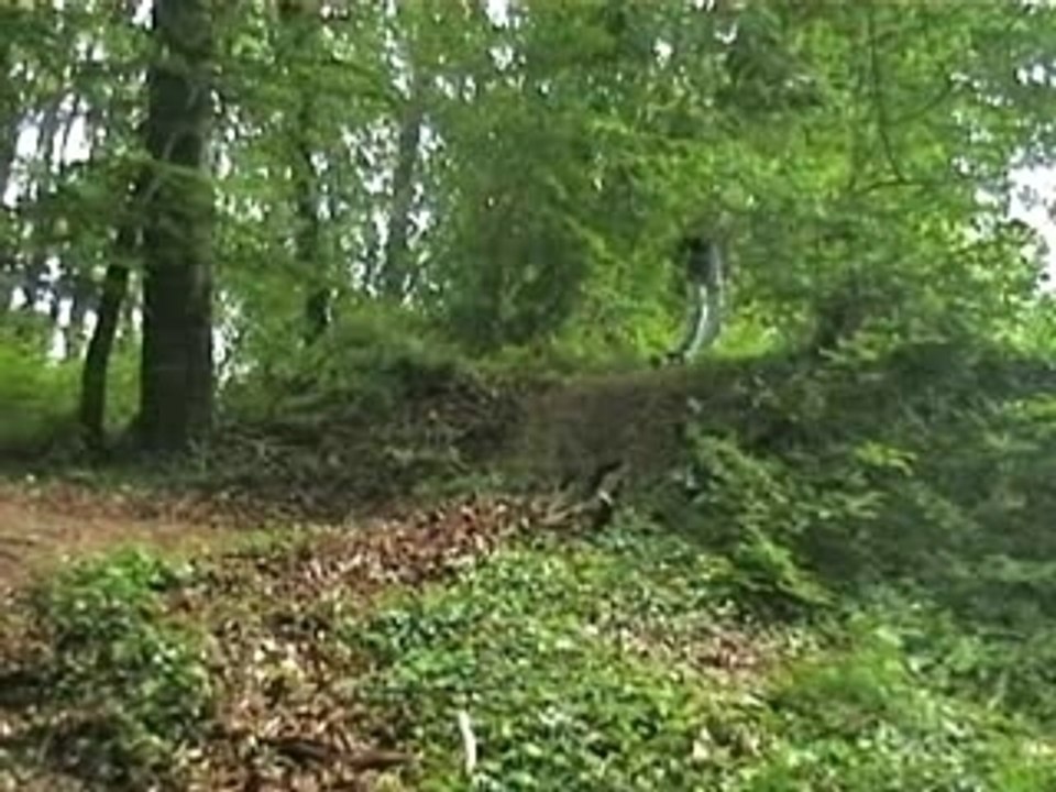 mountainboard Entorse sur la première