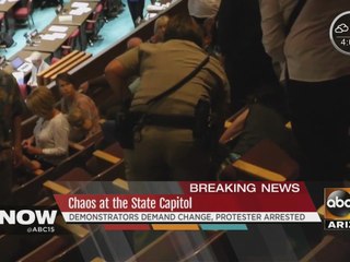Protesters disrupt hearing on long voting lines