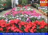 Flower show attracts visitors at Noida Stadium