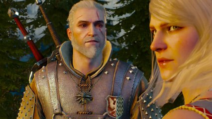 THE WITCHER 3 WALKTHROUGH PART 206 - BLOOD ON THE BATTLEFIELD