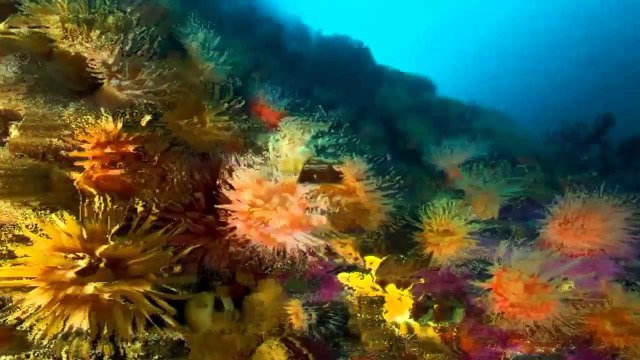 Musica De Fondo Para Monetizar Tus Tutoriales #1 (creative common)