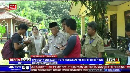 Ribuan Unggas yang Mati di Sukabumi Positif Flu Burung