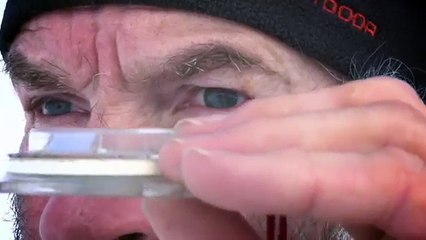 Amazing Game of Thrones Snow Art