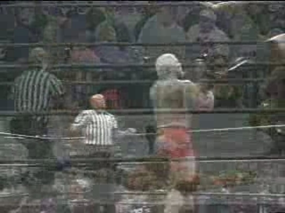 WWE-Wrestling Accidents