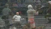 WWE-Wrestling Accidents