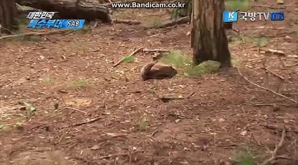 ⓑⓑ토토제작ⓓⓓ 토토솔루션 올자동 사설토토사이트 (카톡: haricuty스카이프:haricuty)