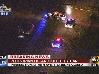 Pedestrian dies in Baseline Road Crash