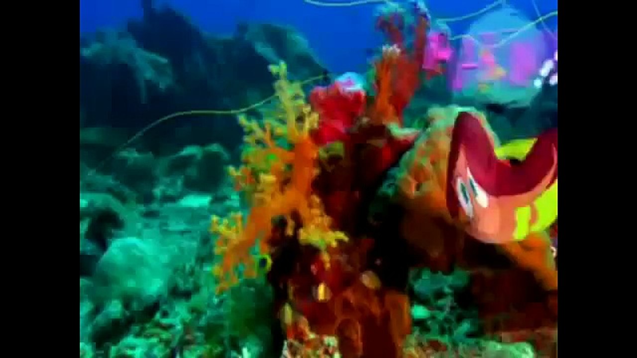 ЗИГ И ШАРКО – прикольный мультфильм!!! 45 серия ДЖУ