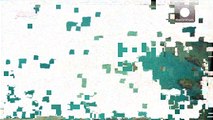 Farblos und todgeweiht: Korallenbleiche in 95 Prozent des nördlichen Great-Barrier-Riffs