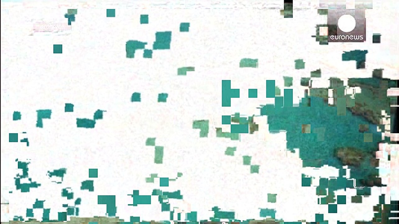Farblos und todgeweiht: korallenbleiche in 95 prozent des nördlichen great-barrier-riffs