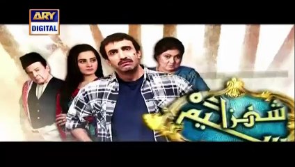 Shehzada Saleem Episode 37 on ARY Digital - 28th March 2016
