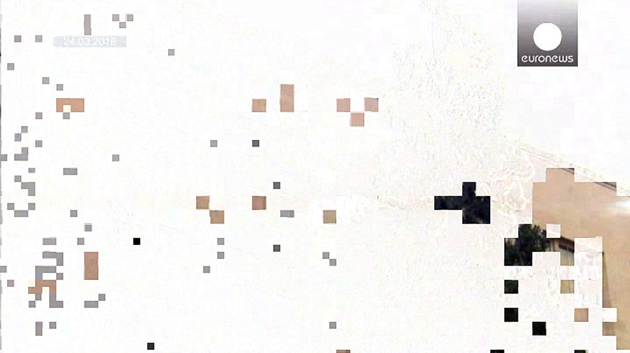 Seattle: Mann trotzt Polizeieinsatz und verbringt 25 Stunden auf Sequoyah-Baum