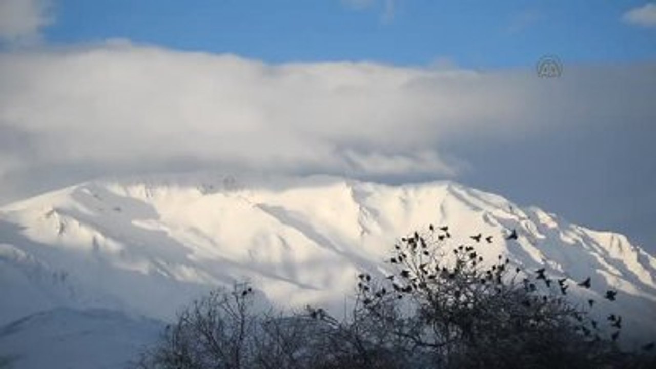 Kar Yağışı Doğayı Beyaza Bürüdü