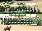 Rey Del Sol Tampa Bay Downs - 12.19.09 Race 5
