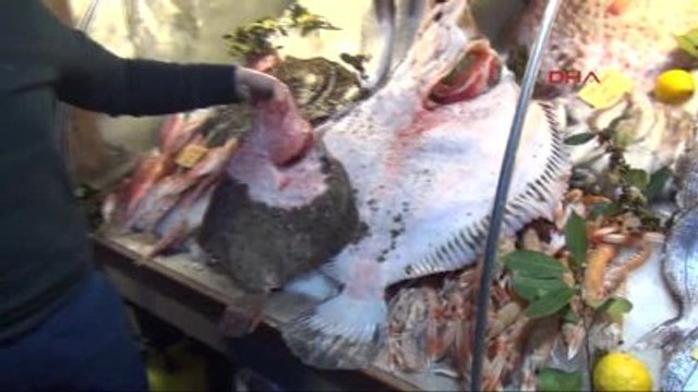 11 Kiloluk Kalkan Balığı Şaşırttı