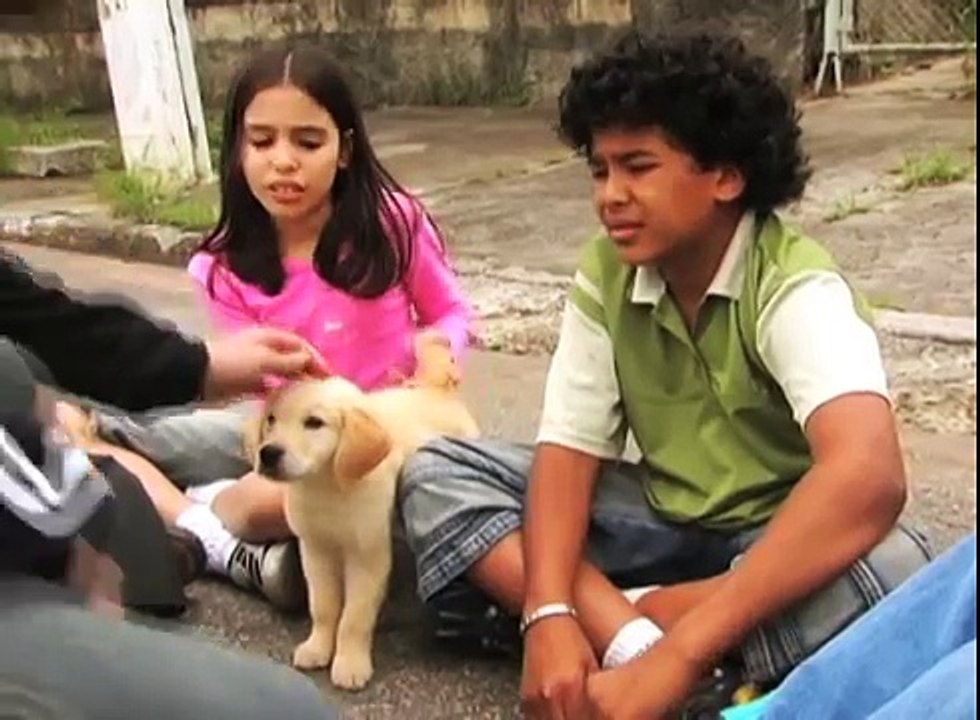 O Mistério do Cachorrinho Perdido