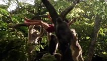 Jungle Jungle Baat Chali Hai Full Title VIDEO Song - The Jungle Book 2016