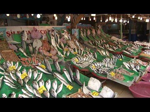 Hamsinin fiyatı 5 liraya düştü