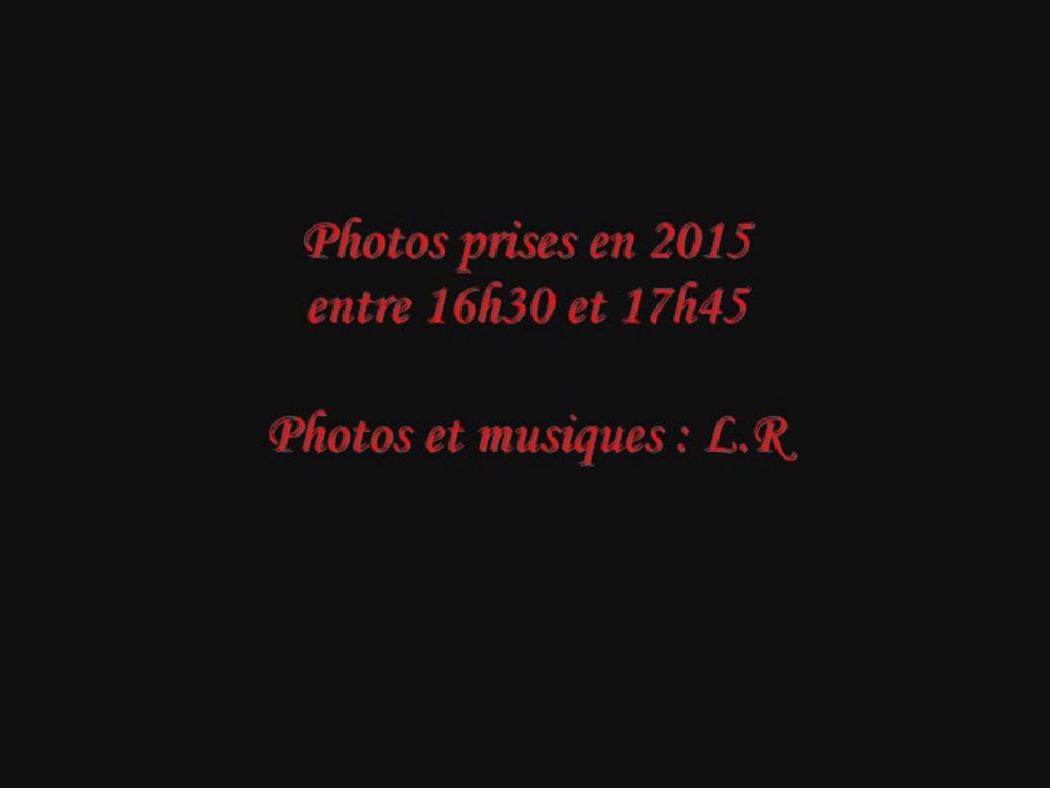 Les 4 Saisons...Un Jour...Une Photo