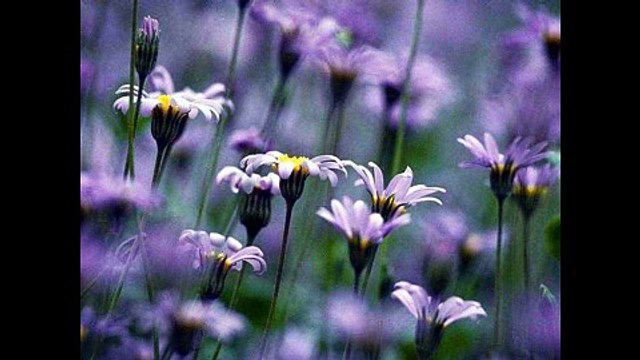 ↗연산동풀싸롱『허경환팀장010↗2142↗0124』↔부산풀싸롱↔서면풀싸롱↔해운대풀싸롱