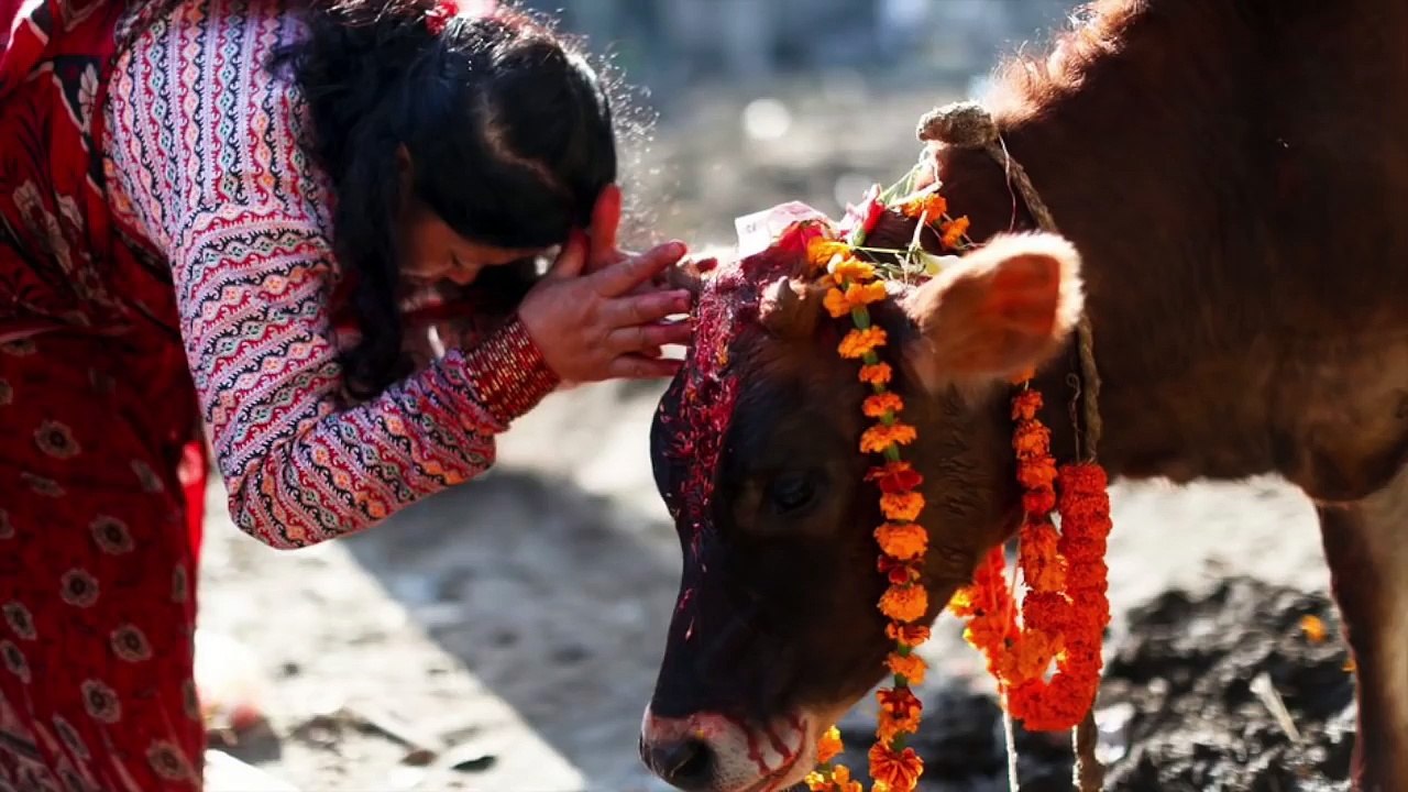 10 Fallout Facts You Probably Didn t Know