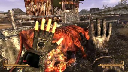 10 Things You Didn t Know About Fallout  New Vegas