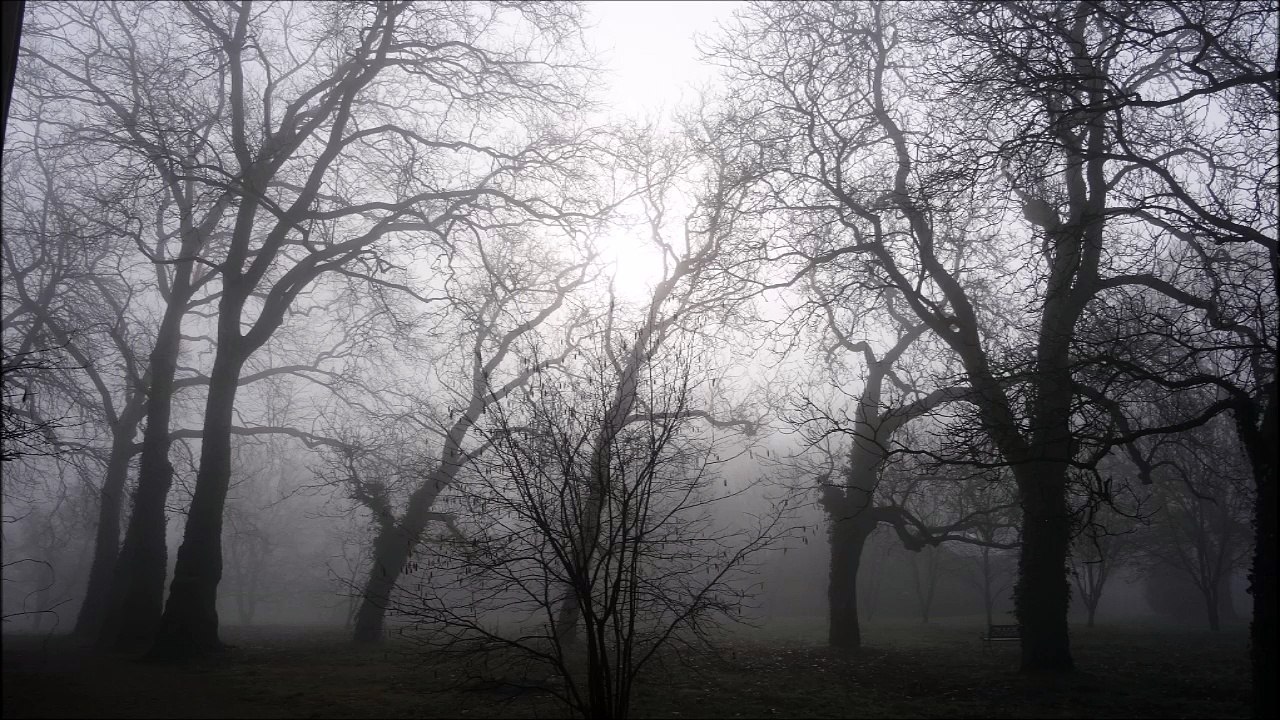 Semaine Sainte : les lamentations de Jérémie (extrait)