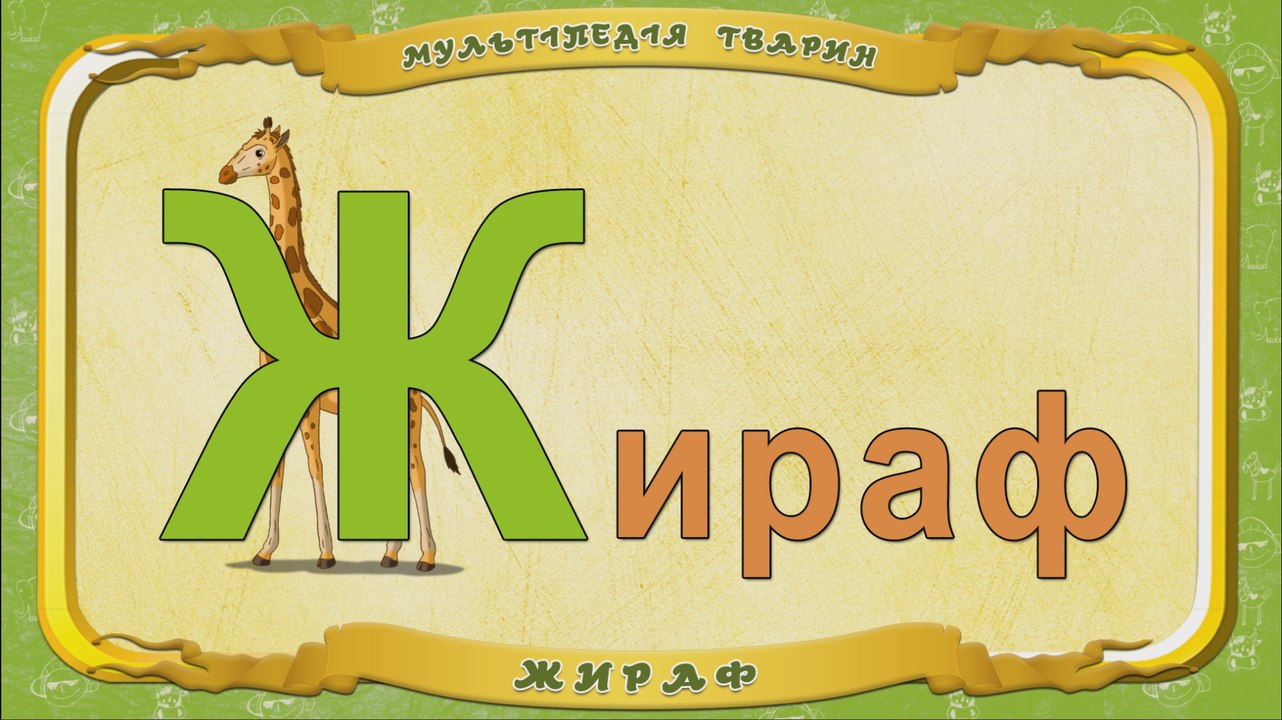 Мультіпедія тварин. Літера Ж - Жираф