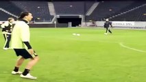 Zlatan Ibrahimovic s'énerver à l'entraînement de l'équipe de Suède
