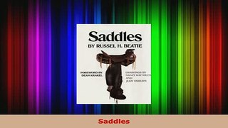 Download  Saddles Download Online