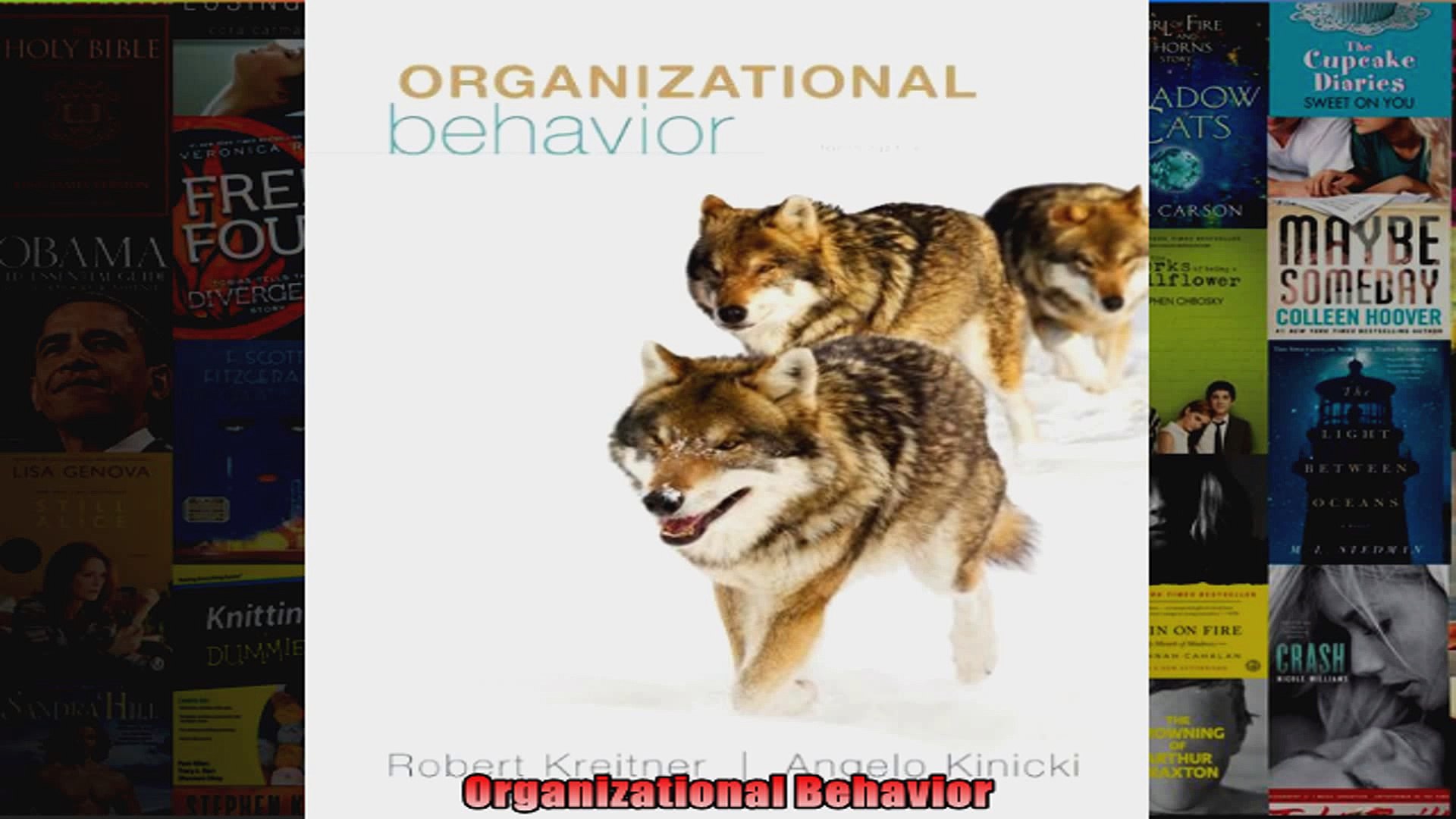 Organizational Behavior