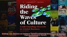 Riding The Waves of Culture Understanding Diversity in Global Business