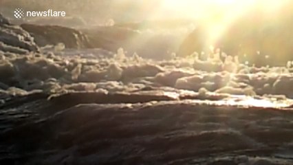 Sea foam bubbles off the coast of Cornwall, UK