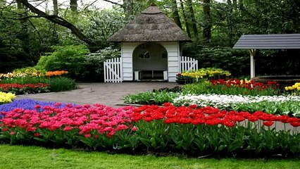 Main Madine Chala Main Madine Chala