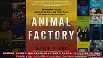 Animal Factory The Looming Threat of Industrial Pig Dairy and Poultry Farms to Humans and