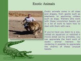 Stephanie Taunton | How To Become An Exotic Animal Trainer