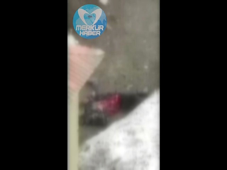 Yüksekova'dan Kan Donduran Görüntü!